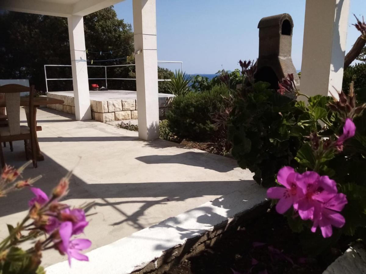 Apartman Laus Zavalatica Extérieur photo