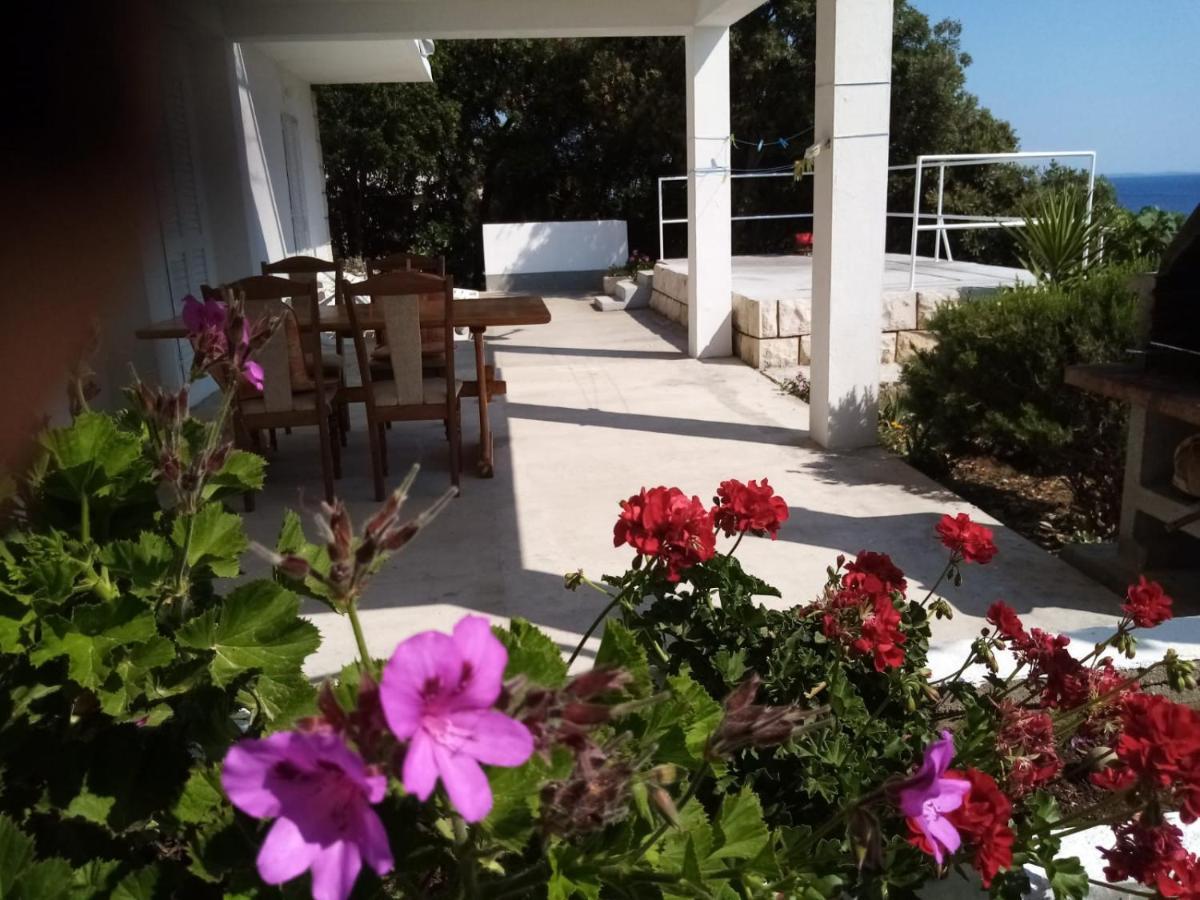 Apartman Laus Zavalatica Extérieur photo